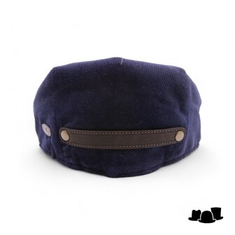 alfonso deste engelse pet model bristol corduroy navy klep bruin