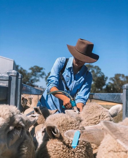 akubra cattleman premium felt fawn