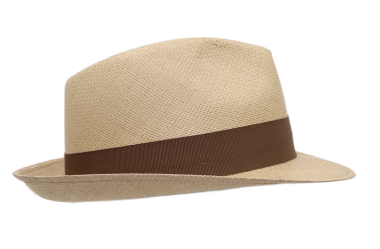 vintimilla trilby new panama stone