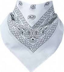 onkar bandana boeren zakdoek paisley wit