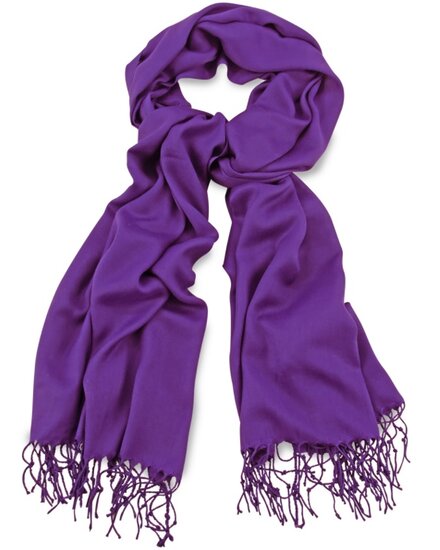 onkar pashmina viscose purple