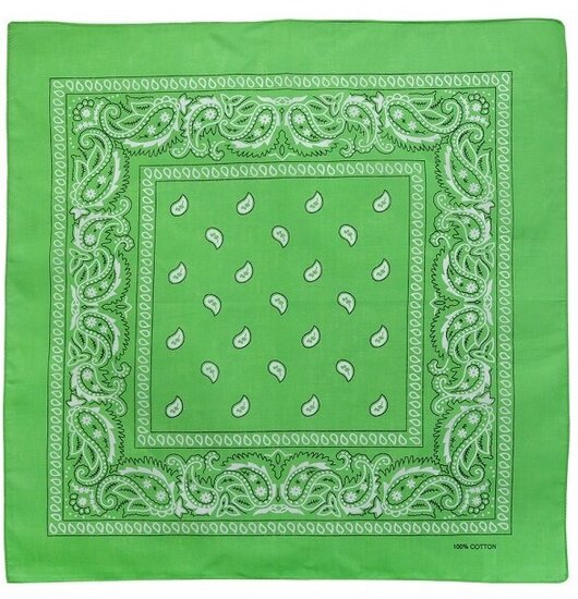 onkar bandana boeren zakdoek paisley licht groen