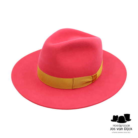 jos van dijck fedora virginia haarvilt golden blush