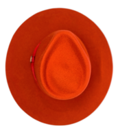 bronte fedora bobby wolvilt orange