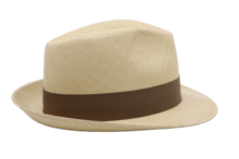 vintimilla trilby new panama stone