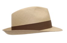 vintimilla trilby new panama stone