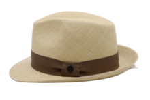 vintimilla trilby new panama stone