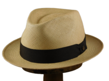 vintimilla trilby panama stone