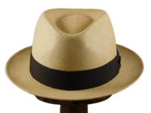 vintimilla trilby panama stone