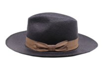 jose signes fedora valencia panama blauw