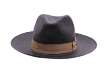 jose signes fedora valencia panama blauw