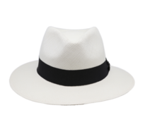 vintimilla fedora panama white