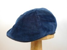 Portaluri Ivy Pet Sixpanel Fluweel Visgraat BLAUW