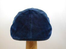 Portaluri Ivy Pet Sixpanel Fluweel Visgraat BLAUW