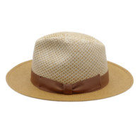 jos van dijck by tesi summer fedora paper brisa ruggine naturel