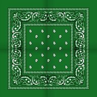 onkar bandana boeren zakdoek paisley grasgroen