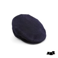 alfonso deste engelse pet tamigi corduroy navy