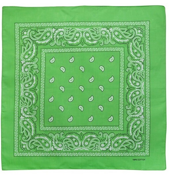 onkar bandana boeren zakdoek paisley licht groen